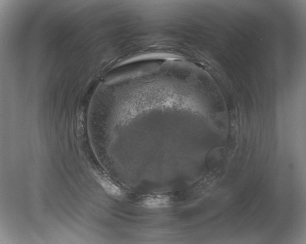 X0000082170369200701191313