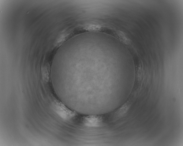 X0000082170370200701191313