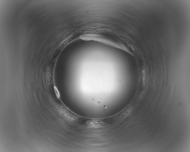 X0000082170372200701191313