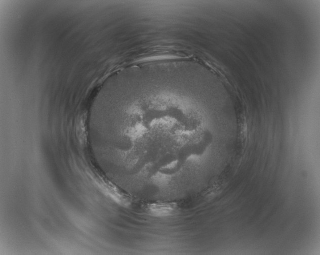 X0000082170373200701191313