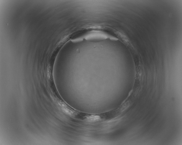 X0000082170374200701191314