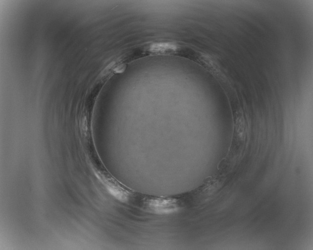 X0000082170375200701191314