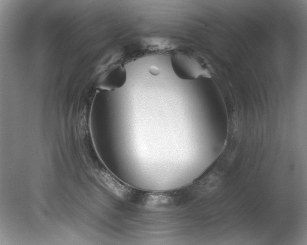 X0000082170376200701191314