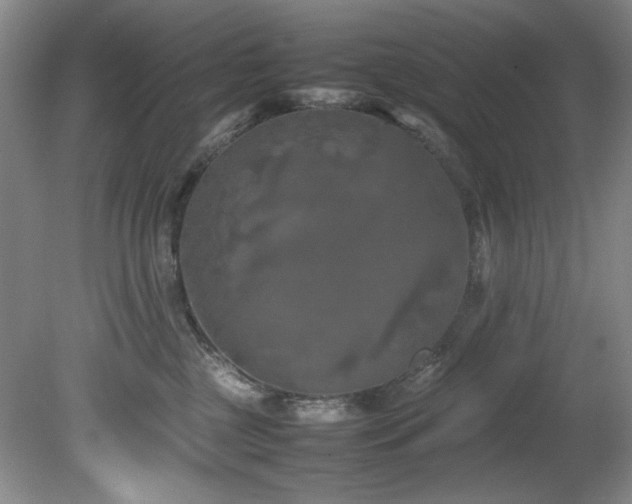 X0000082170377200701191314