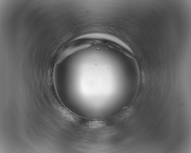 X0000082170378200701191314