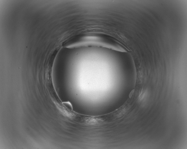 X0000082170379200701191314