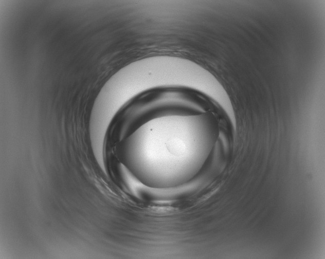 X0000082170380200701191314