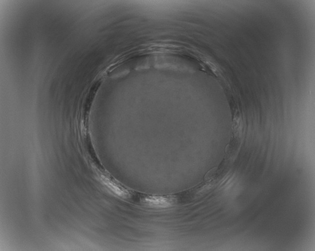 X0000082170381200701191314