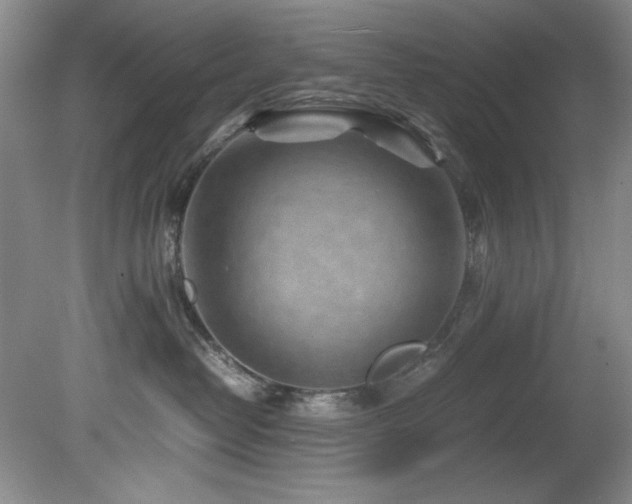 X0000082170382200701191314