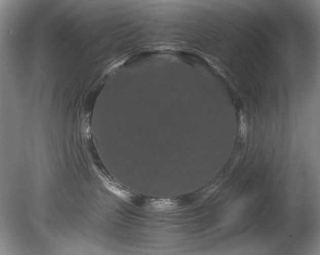 X0000082170383200701191314