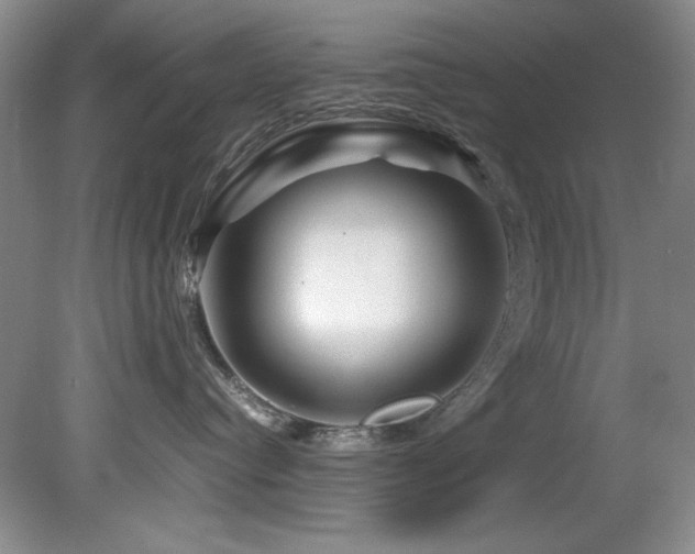 X0000082170384200701191314