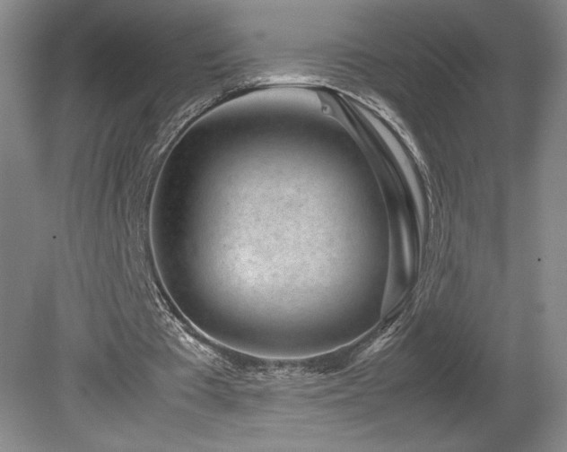 X0000082170385200701191313