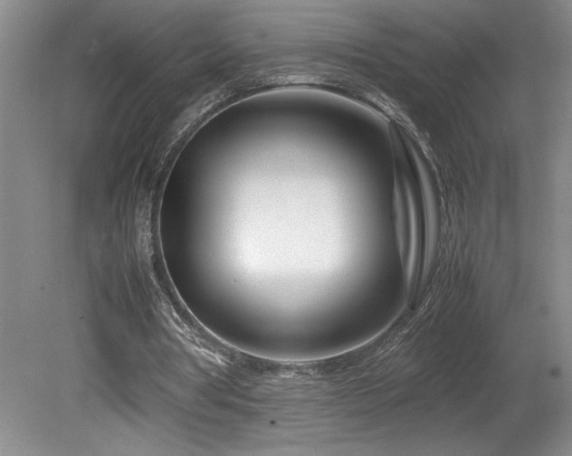 X0000082170386200701191313