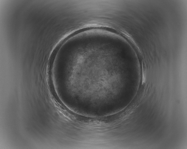 X0000082170387200701191313