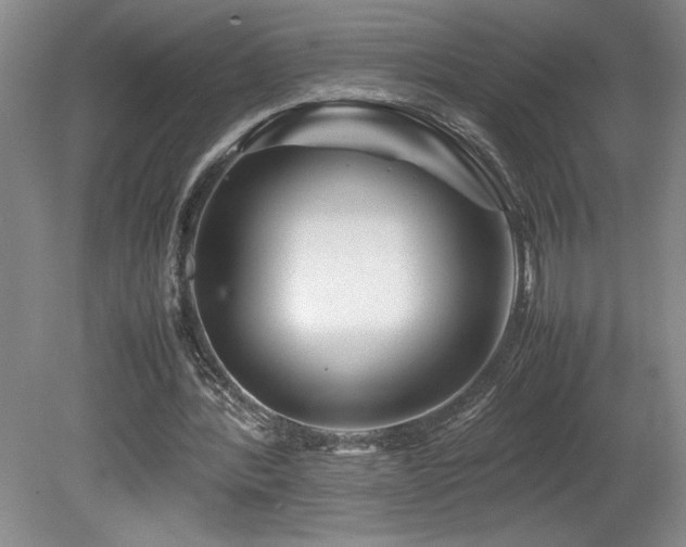 X0000082170388200701191313