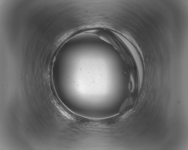 X0000082170389200701191313