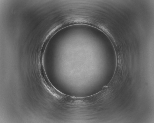 X0000082170390200701191313