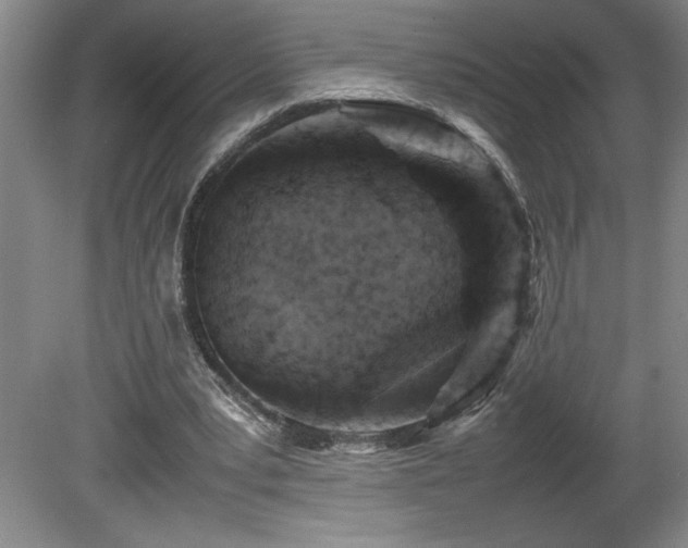 X0000082170391200701191313