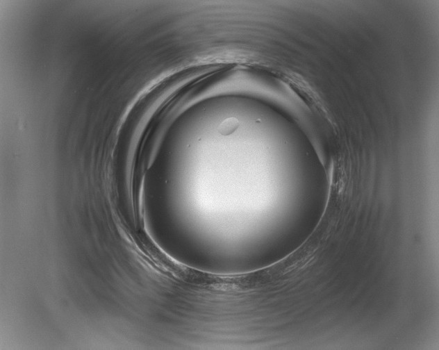 X0000082170392200701191313