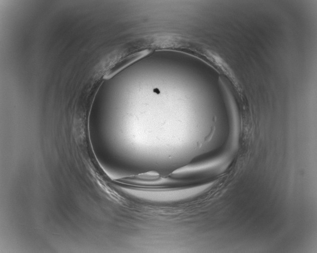 X0000082170393200701191313