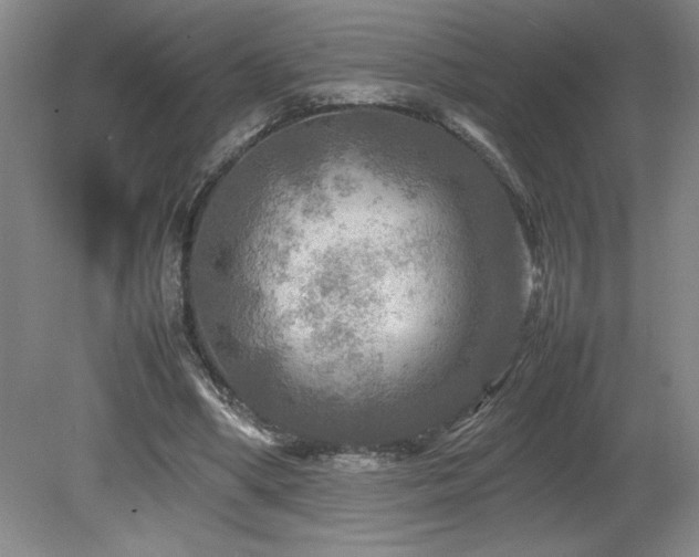 X0000082170394200701191313