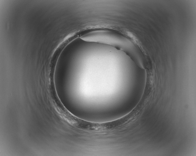 X0000082170395200701191313