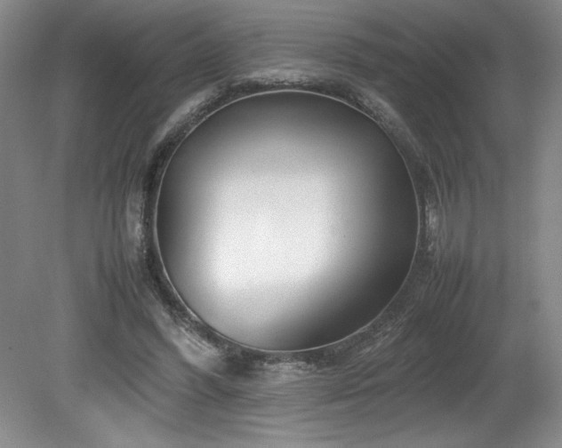 X0000082170396200701191313