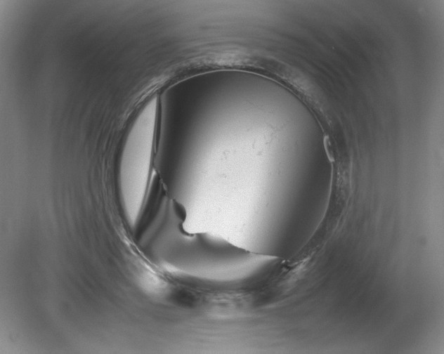 X0000082170397200701191313