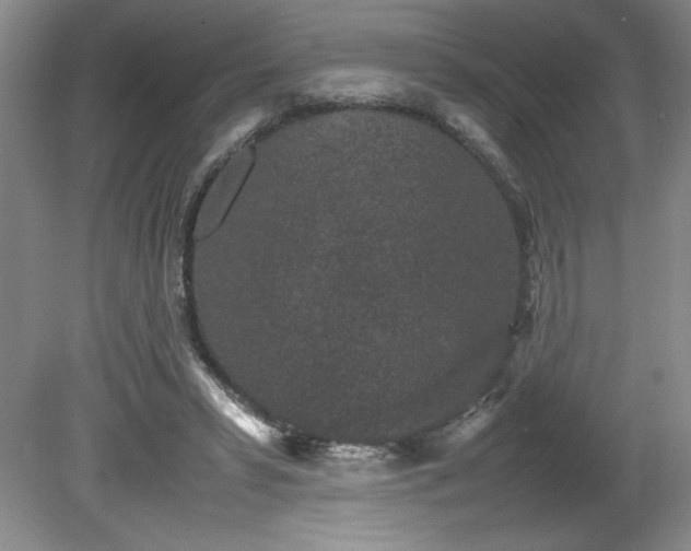 X0000082170399200701191313