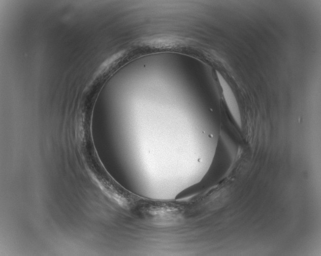 X0000082170400200701191313