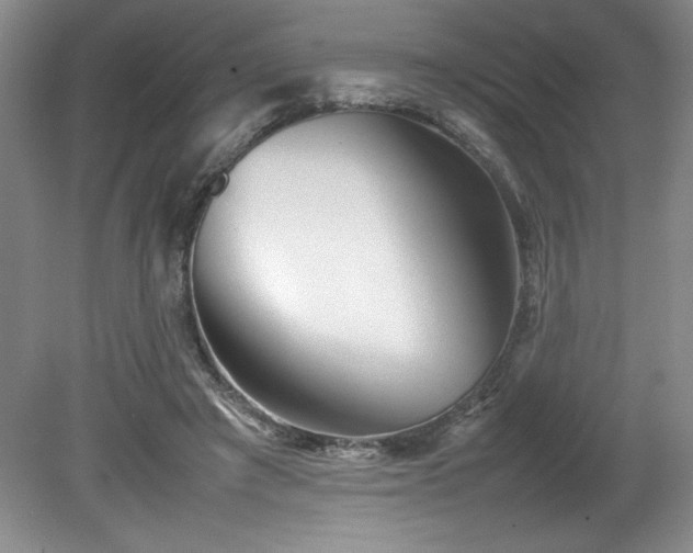 X0000082170401200701191313