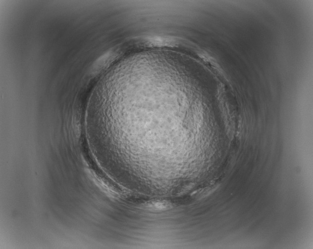 X0000082170402200701191313