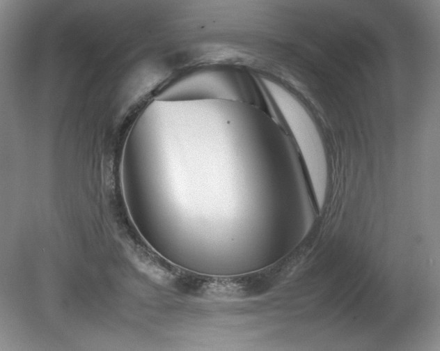 X0000082170403200701191313