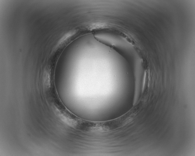 X0000082170404200701191313