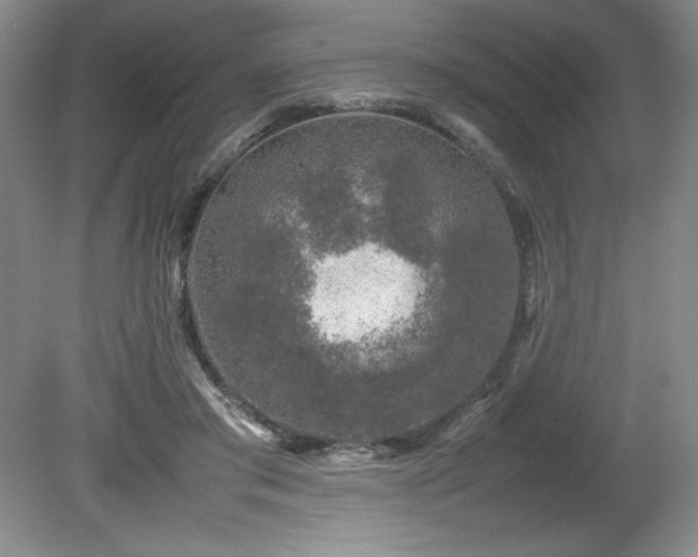 X0000082170405200701191313