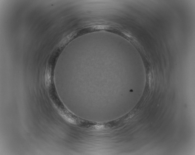 X0000082170406200701191313