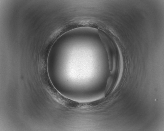 X0000082170407200701191312