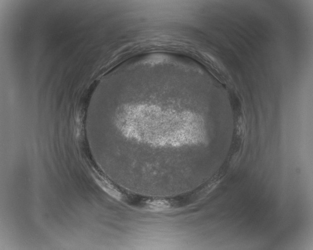 X0000082170409200701191312