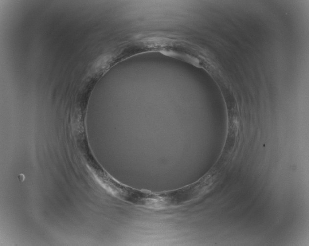 X0000082170411200701191312