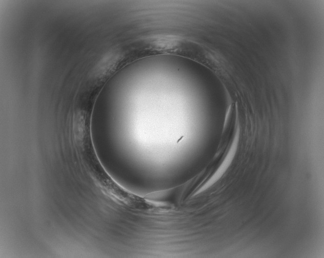 X0000082170412200701191312