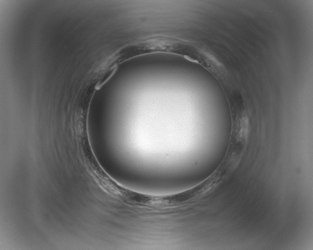 X0000082170413200701191312