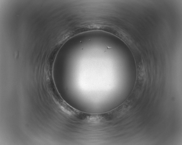 X0000082170414200701191312