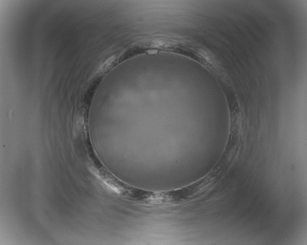 X0000082170415200701191312