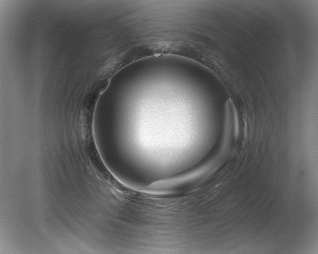 X0000082170416200701191312