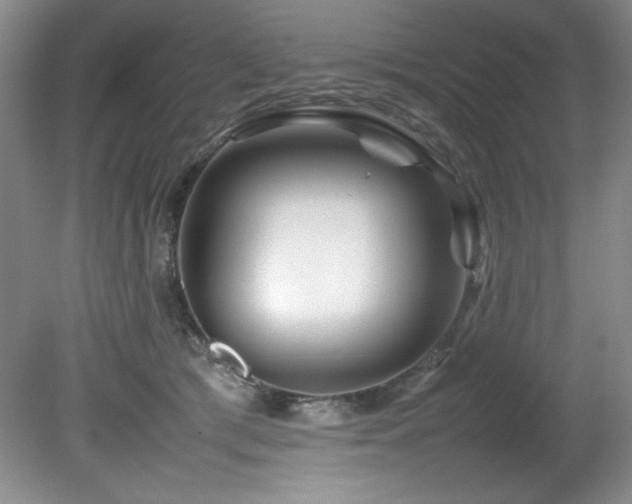 X0000082170417200701191312