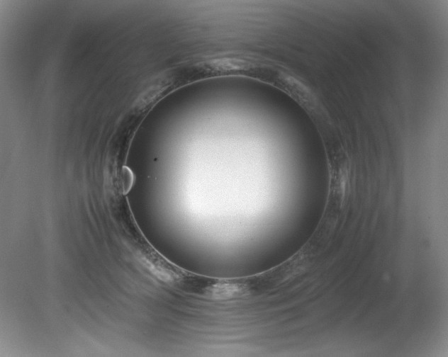 X0000082170418200701191312