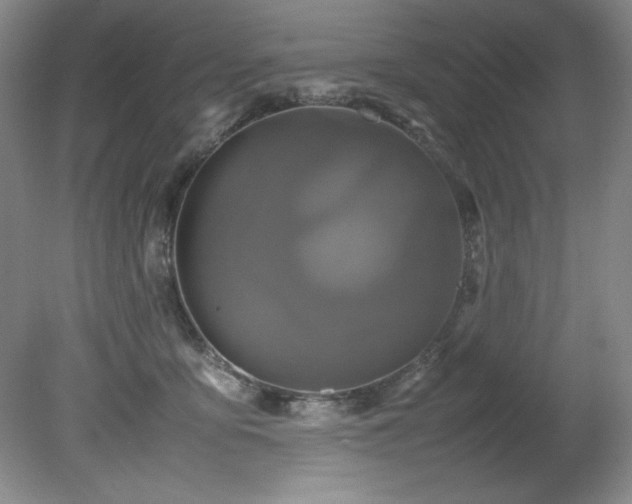 X0000082170419200701191312