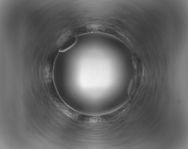 X0000082170420200701191312