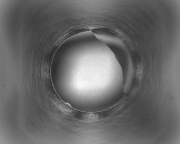 X0000082170421200701191312