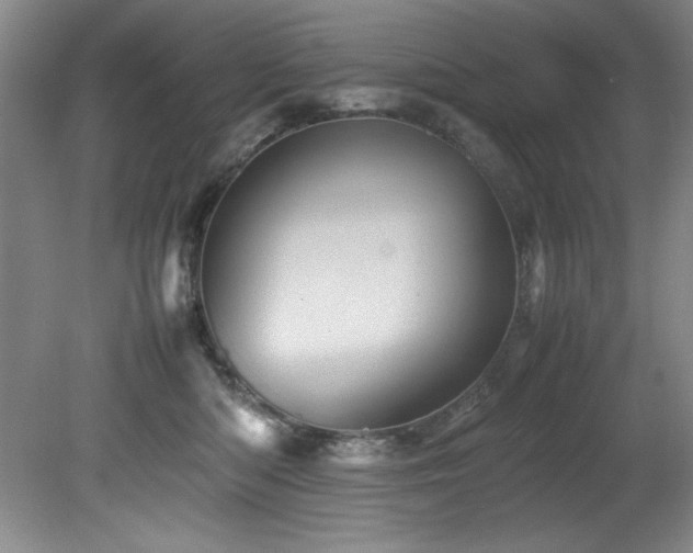 X0000082170422200701191312